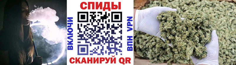 omg tor Опочка Бутират 99%