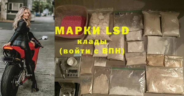 молекула духа Арсеньев