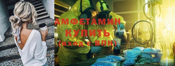 молекула духа Арсеньев