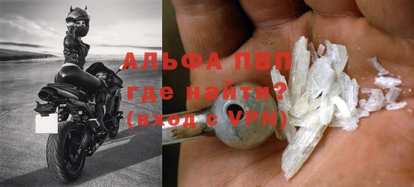 молекула духа Арсеньев