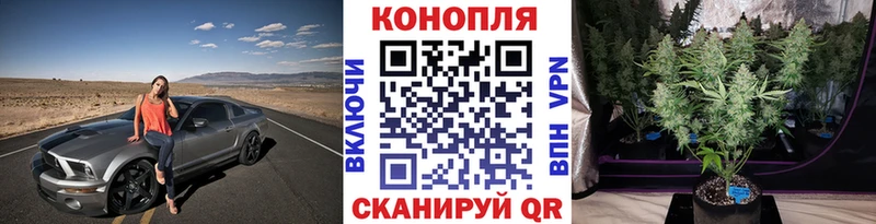 Конопля семена  наркотики  Опочка 